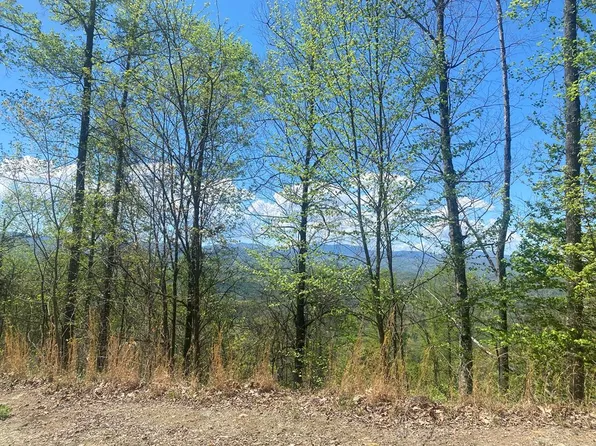LOT 38 Fulcher Rd, Franklin, NC 28734
