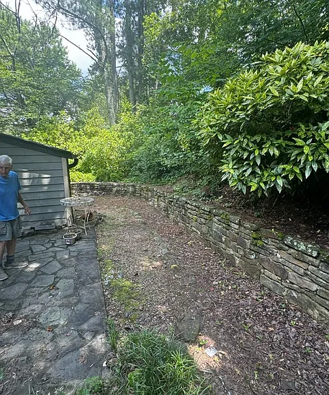 Back Garden