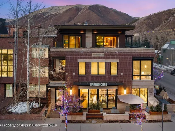 632 E Hopkins Ave #301, Aspen, CO 81611