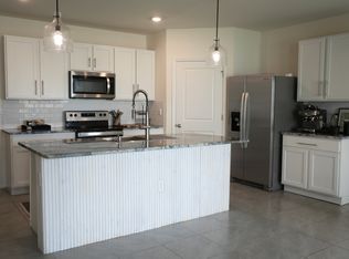 33471 Hamilton Hill Ln, Wesley Chapel, FL 33545