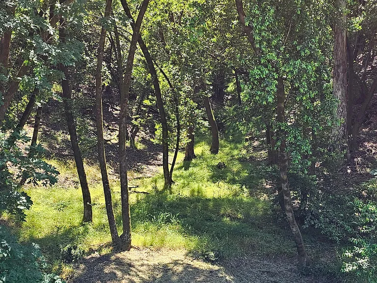 14 Sentinel Ct #1 — Photo 29