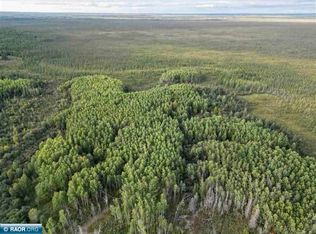 Olson Rd W, Tower, MN 55790