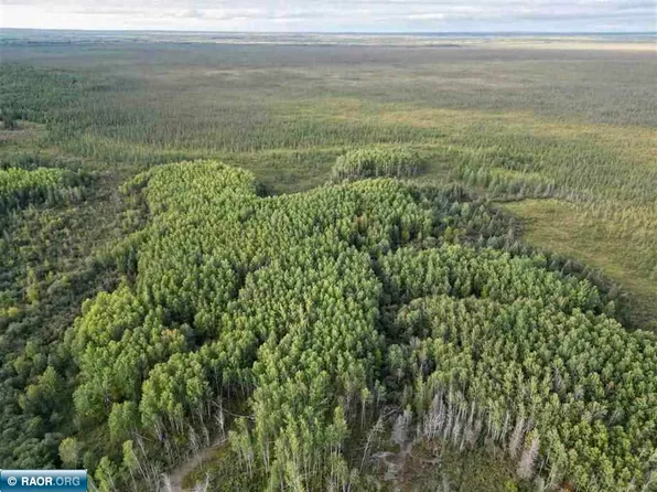Olson Rd W, Tower, MN 55790