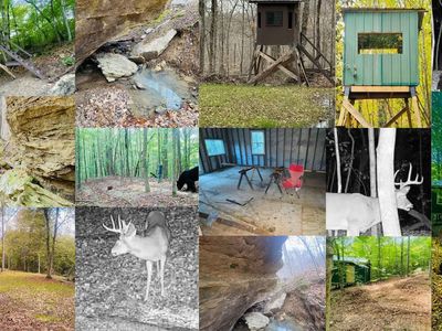 424 Mitt Foster Rd, Monticello, KY, 42633