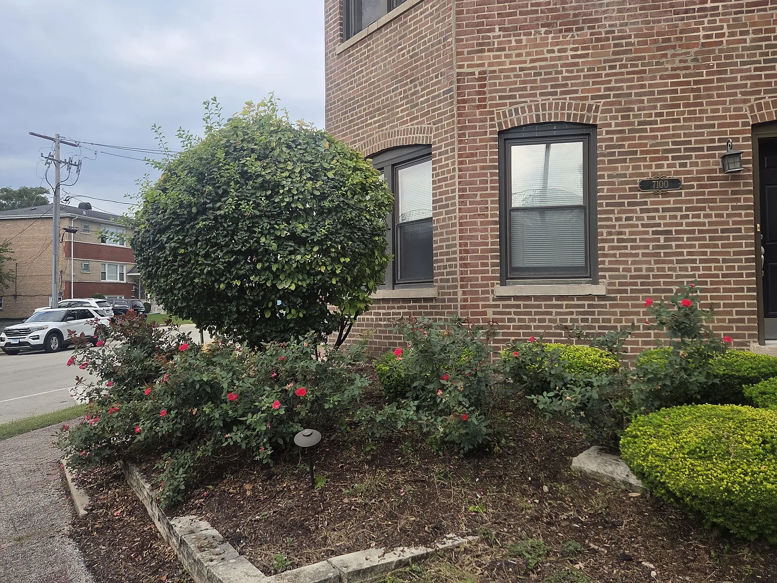 2 bed, 900 sqft, $1,600 — Photo 2