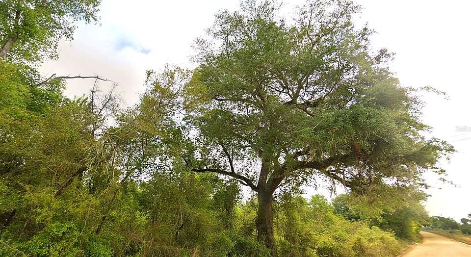 1st image of Tower Rd