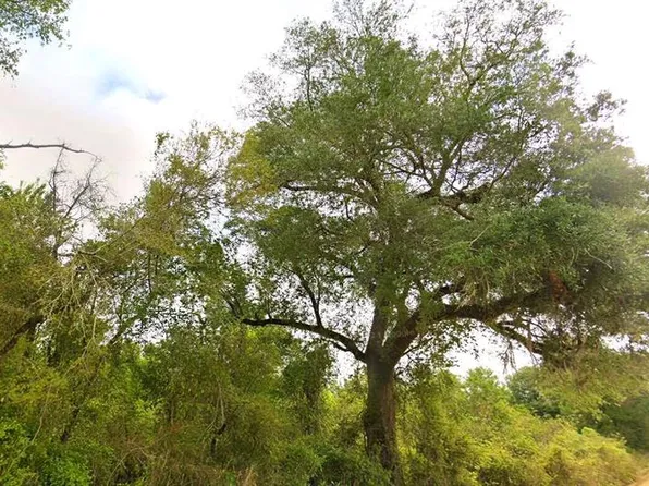 Tower Rd, Bascom, FL 32423