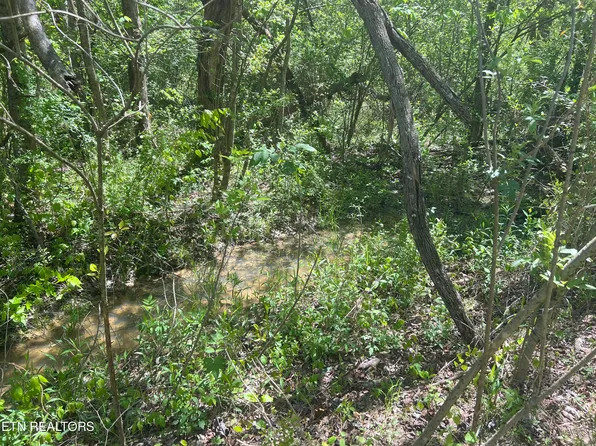 Dunn Rd, Tellico Plains, TN 37385