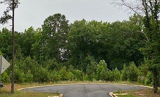 2nd image of LOT 18 County Line Rd