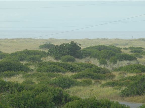 View of ocean from land