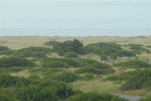View of ocean from land