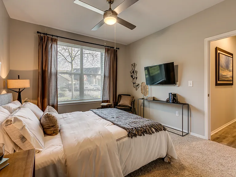 Ceiling Fans