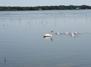 931 S Hessel Point Rd, Hessel, MI 49745