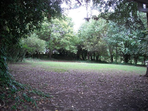 Fenced back yard