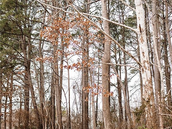 4th image of 0 Riverside Dr