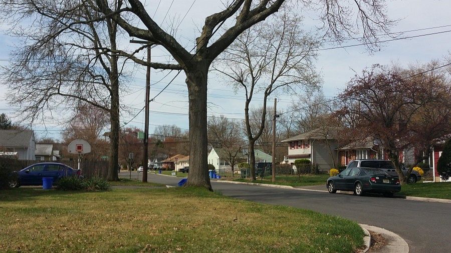 2nd image of 1455 Division Ave