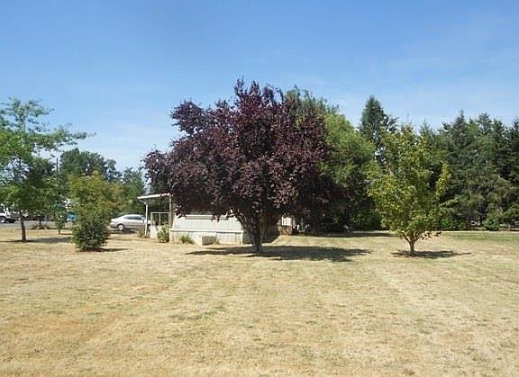 3rd image of 37683 3rd St