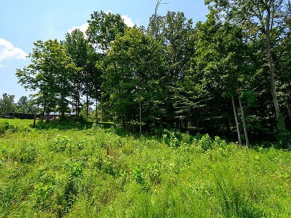 5th image of LOT 91 Odessa Dr