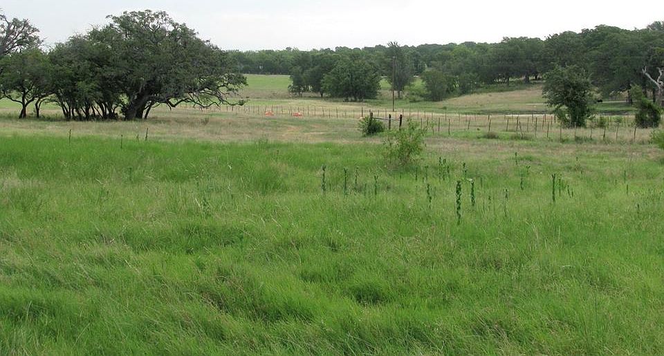 1st image of 540 S Fm 183