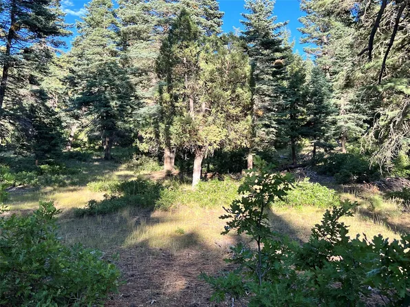 84 Tract 7, Chama, NM 87520