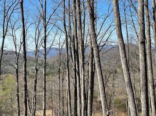 22M 26M Ridges Fairway, Hayesville, NC 28904