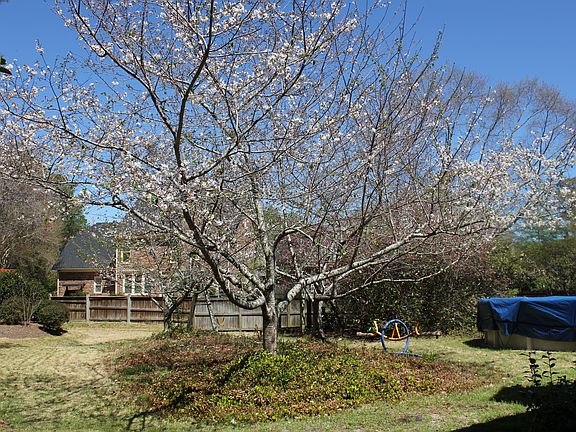 4th image of 3602 Bluebell Ct