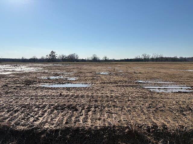 2nd image of County Road 90 Lot 12