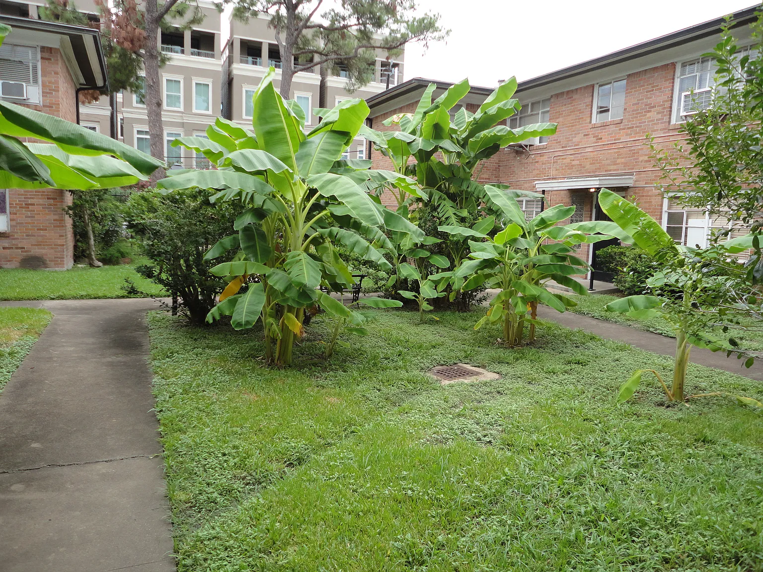 1 bed, $830 — Photo 2