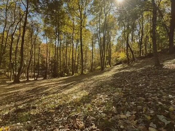 LOT Old Danville Hwy, Northumberland, PA 17857