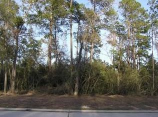 62 Shadow Creek Ridge Dr, Spring, TX 77389