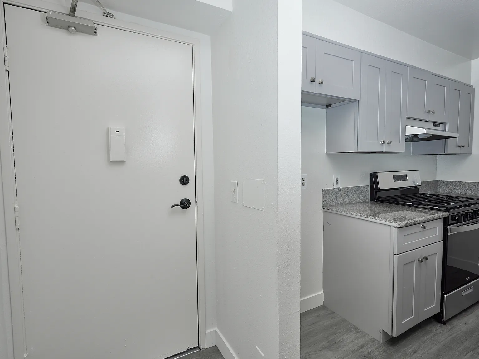 1 bed, 650 sqft, $1,695 — Photo 3