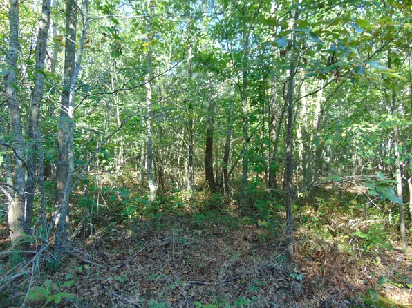 0 Pine Lake Rd Lot 56, Summertown, TN 38483
