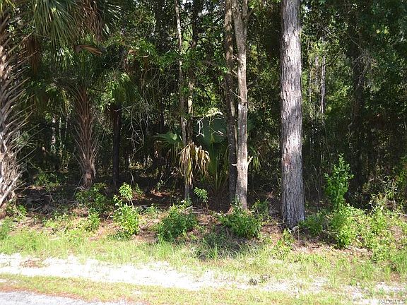 5th image of 10174 West Shamrock Place