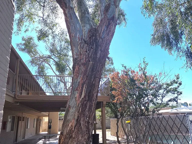 Jerrie Street Apartments — Photo 27
