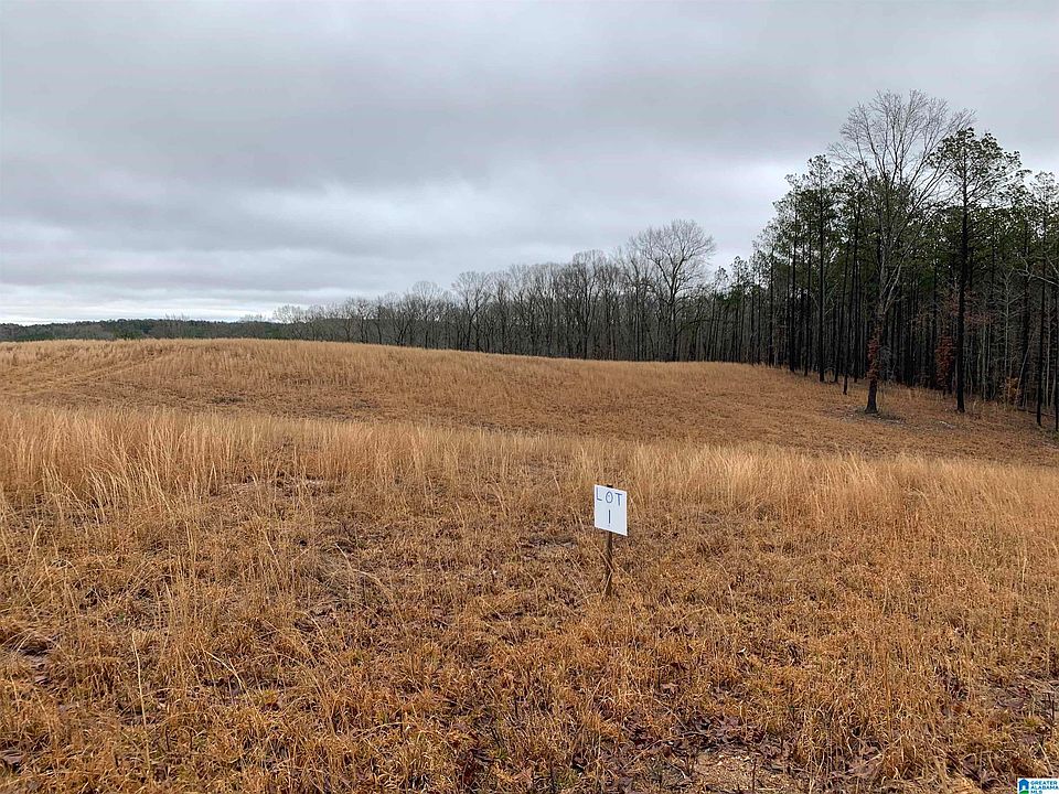 2nd image of 0 County Road 447 #5