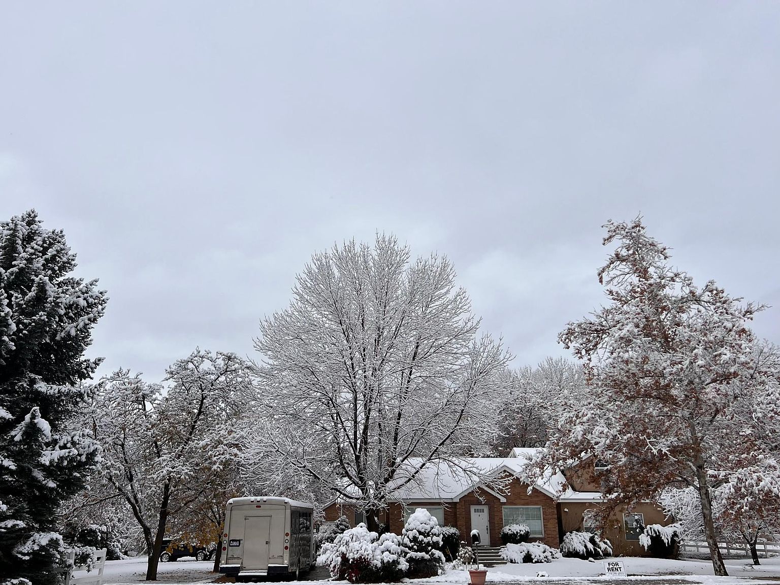 3885 N Canyon Rd, Provo, UT 84604 Zillow