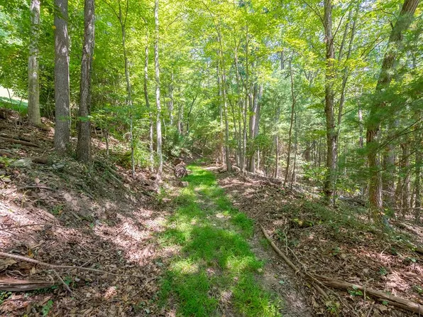 LOT 28 Sherwood Forest Dr, Draper, VA 24324