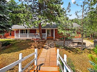 1539 Bluebird Dr, Bailey, CO 80421