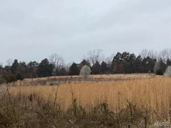 0 Nardoni Dr, Union, MO 63084