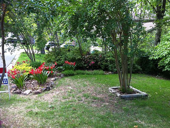 Front Rock Border Garden