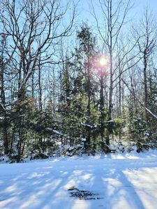 Lake Dr, Mellen, WI, 54546