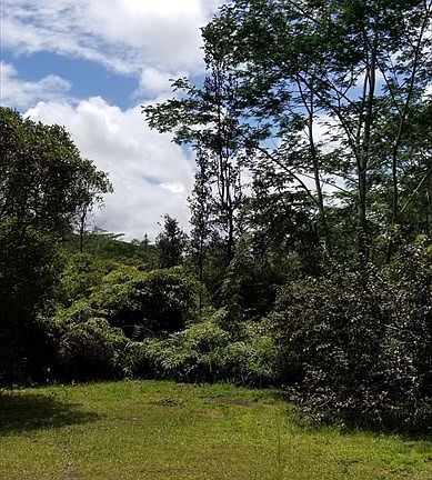 4th image of 13th Ave Lot 1162