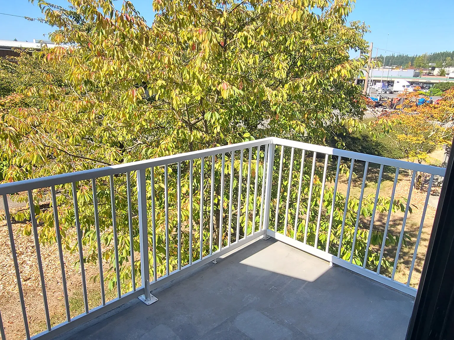 2 bed, 782 sqft, $1,915 — Photo 4