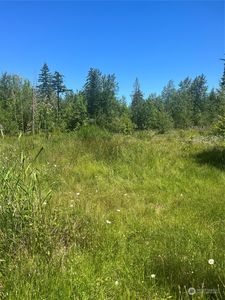 0 XXX Lot 1, Roedomsky Road E, Eatonville, WA, 98328