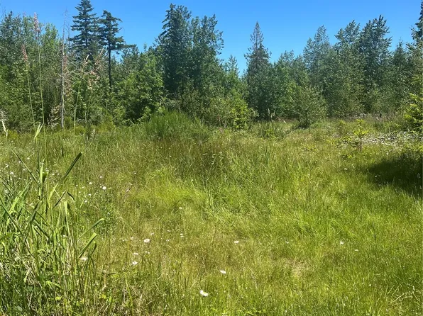0 XXX Lot 1, Roedomsky Road E, Eatonville, WA 98328