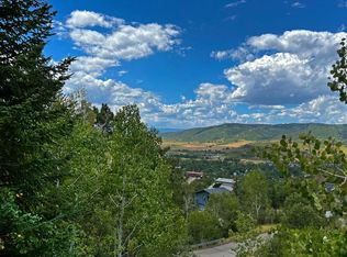 2927 Laurel Ln, Steamboat Springs, CO 80487