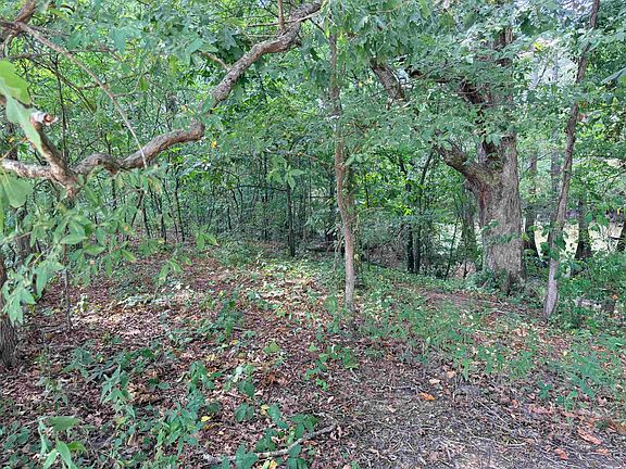 5th image of 91 Burlison Ln