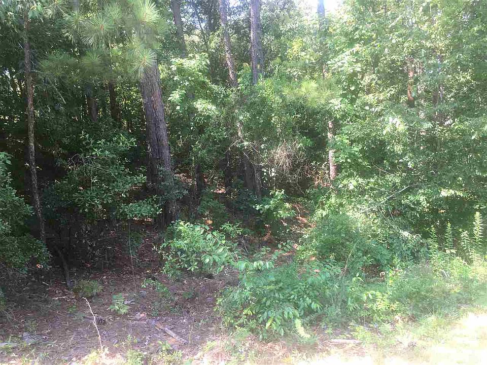 2nd image of 110 Patton Dr