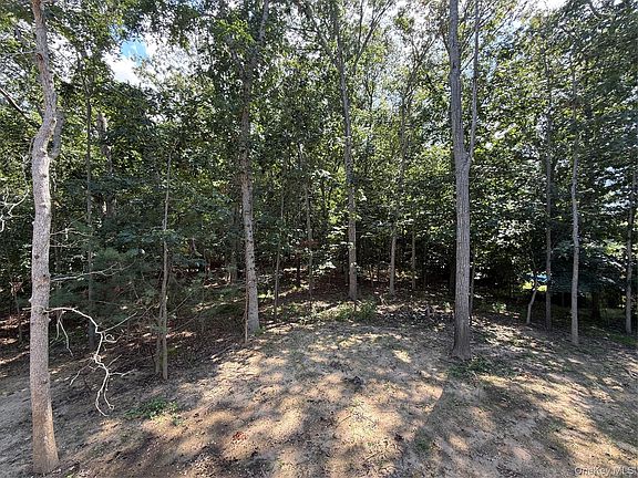 3rd image of 6 Scout Trail