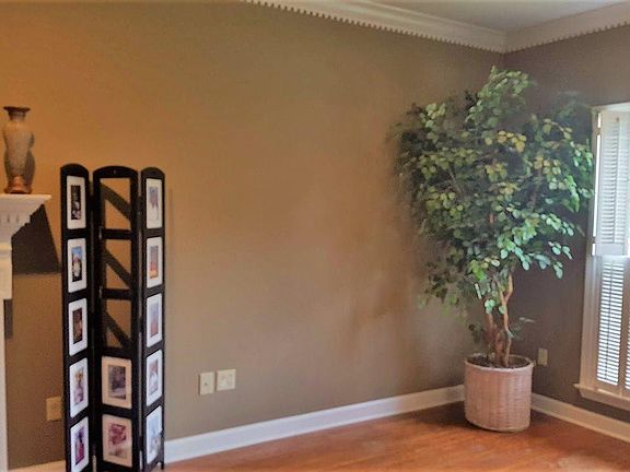 5th image of 1005 Rosswood Colony Dr